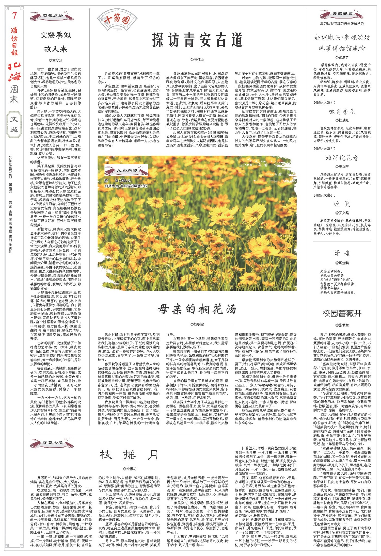 ****处理标记：[page]时， 字段 [] 在数据源中没有找到! ****