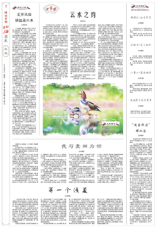 ****处理标记：[page]时， 字段 [] 在数据源中没有找到! ****
