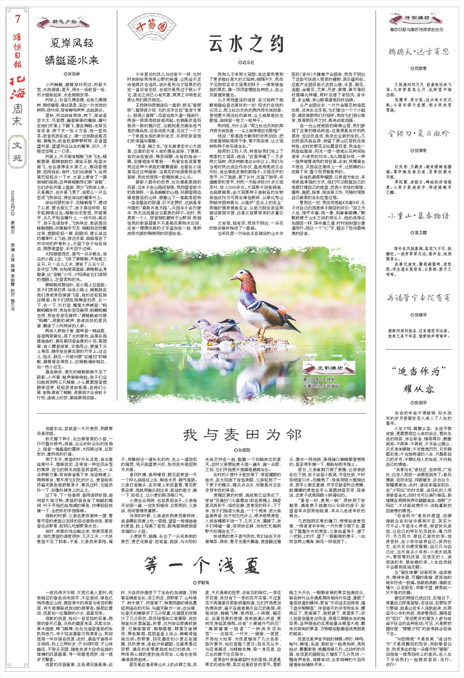 ****处理标记：[page]时， 字段 [] 在数据源中没有找到! ****
